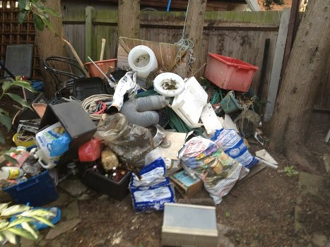 Highbury house cleared and cleaned by professional service